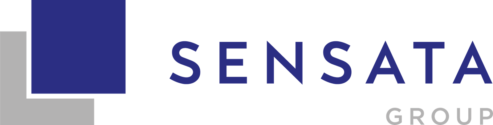 Sensata Group